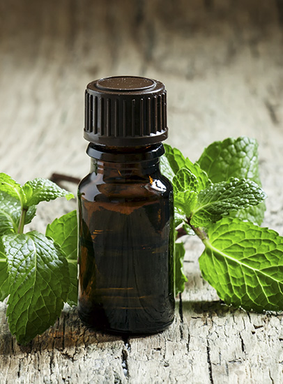 The Benefits of Mint | Focus on Hair