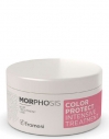 Framesi Morphosis Color Intensive Treatment