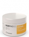 Framesi Morphosis Repair Rich Treatment