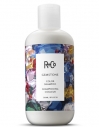 R+Co Gemstone Color Shampoo