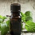 The Benefits of Mint