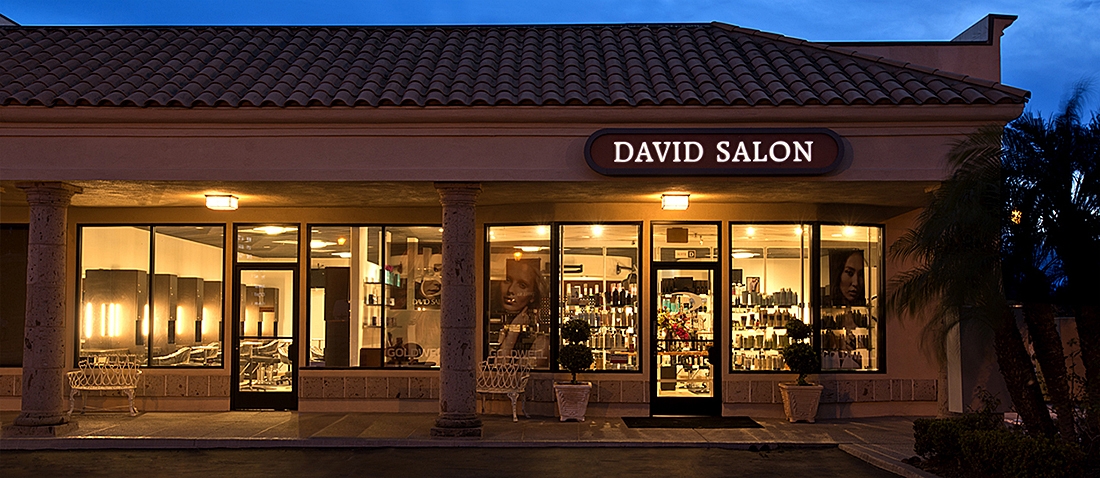 The David Salon Boldly Business Savvy