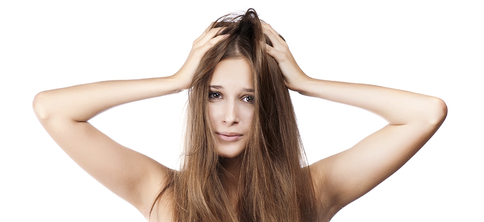 Ditch the Itch - Dandruff Solutions
