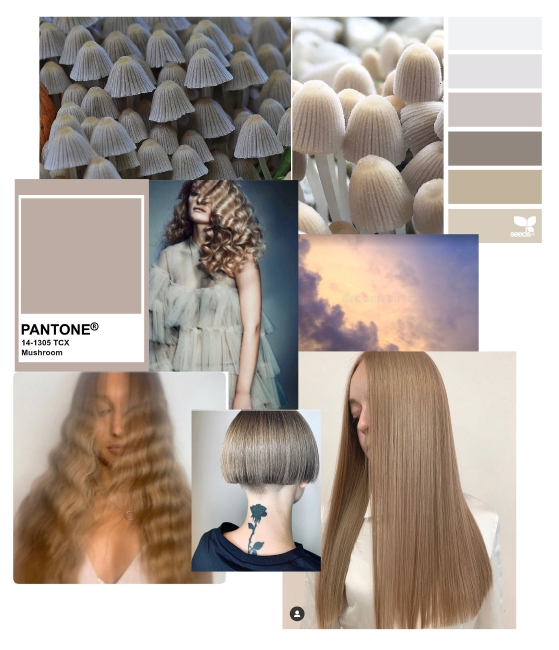 Mushroom Blonde