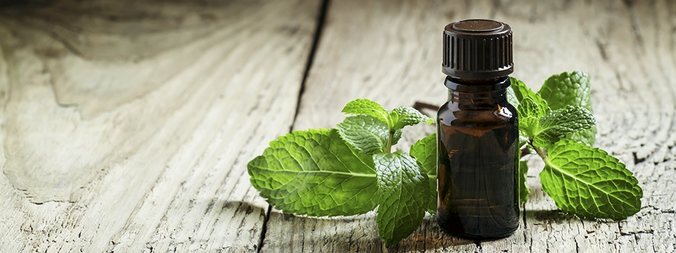 4 Benefits Of Using Peppermint Oil To Have Healthy Hair  NDTV Food