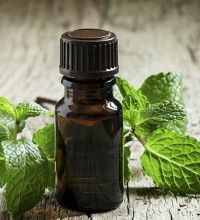 The Benefits of Mint